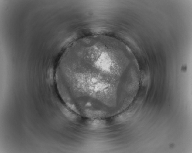 X0000102020670200808011425