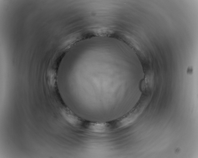 X0000102020671200808011425