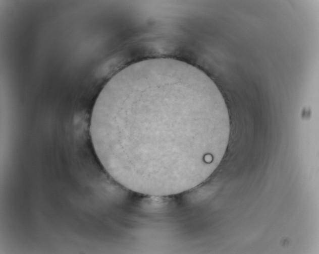 X0000102020672200808011425