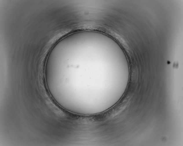 X0000102020673200808011425
