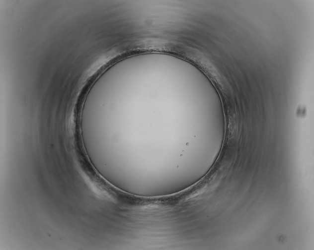 X0000102020674200808011425