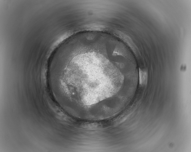 X0000102020675200808011425