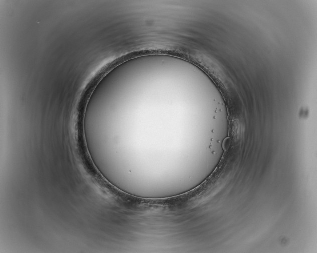 X0000102020676200808011424
