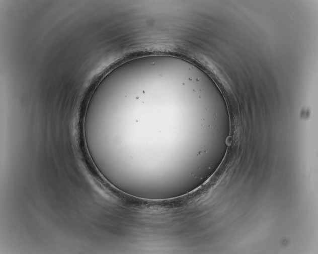 X0000102020677200808011424