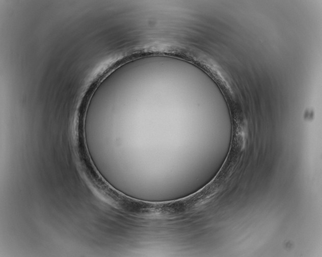 X0000102020678200808011424