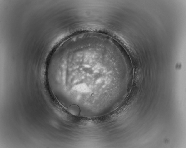 X0000102020679200808011424
