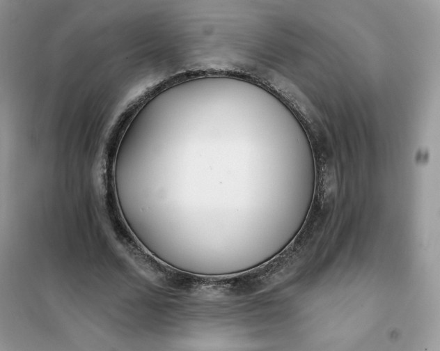 X0000102020680200808011424