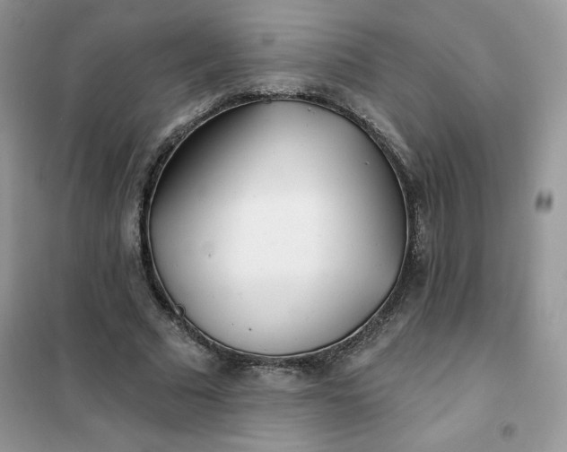 X0000102020681200808011424