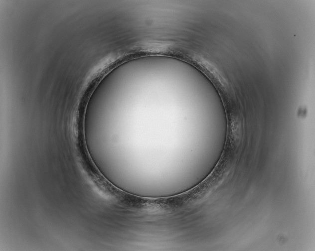 X0000102020682200808011424