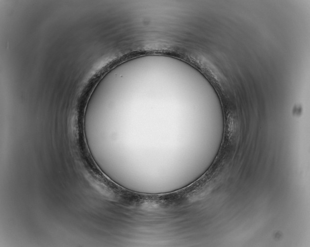 X0000102020684200808011424