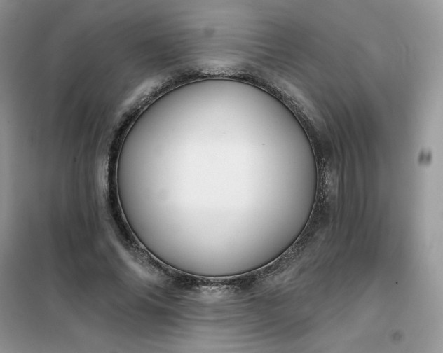 X0000102020686200808011424