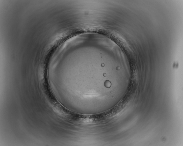 X0000102020687200808011424
