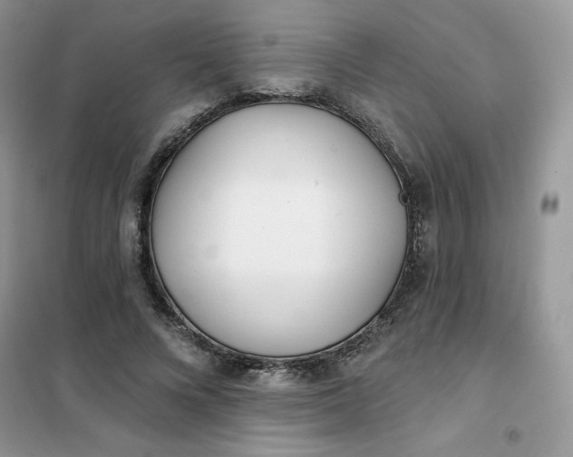 X0000102020688200808011424