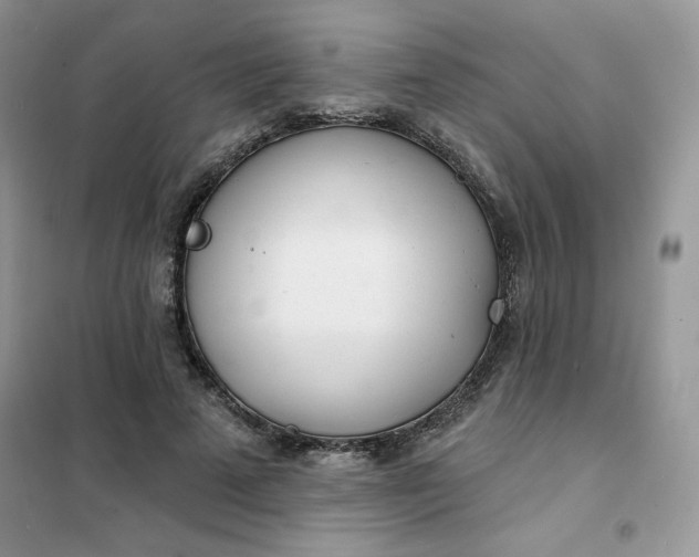 X0000102020689200808011424