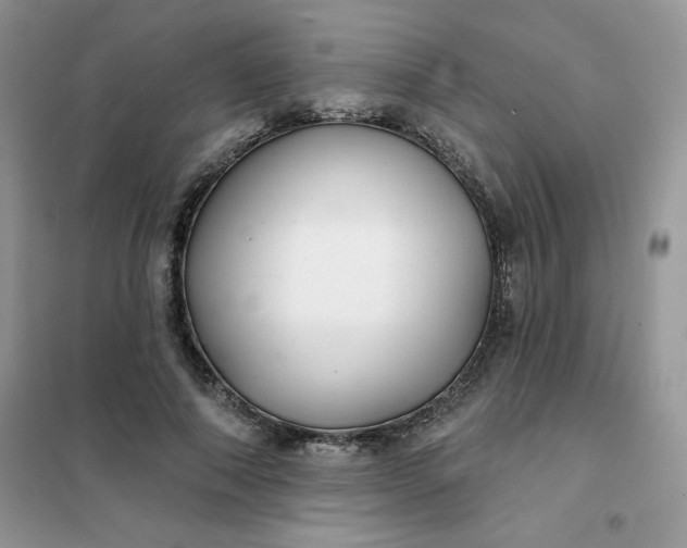 X0000102020690200808011424