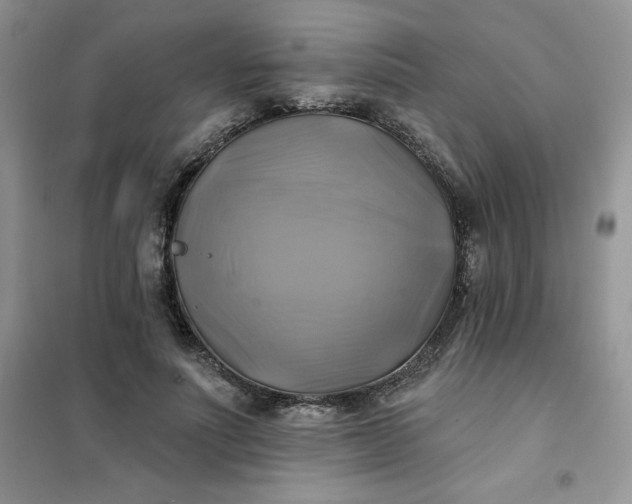 X0000102020691200808011424