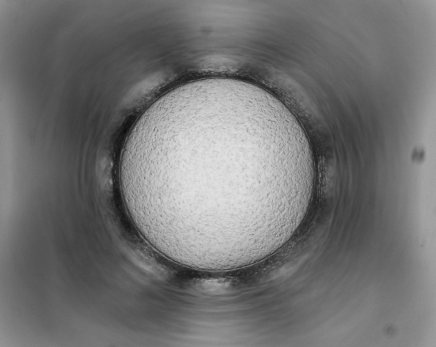 X0000102020692200808011424