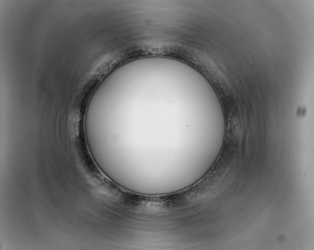 X0000102020694200808011424