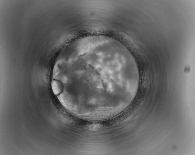 X0000102020695200808011424