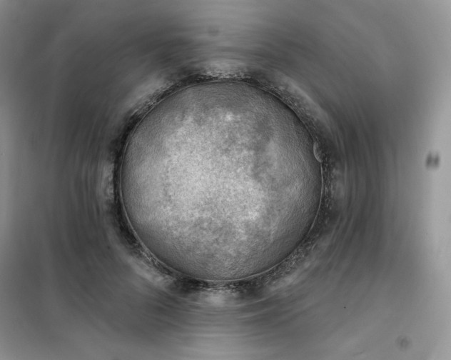 X0000102020696200808011424