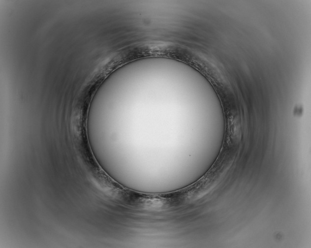 X0000102020698200808011424