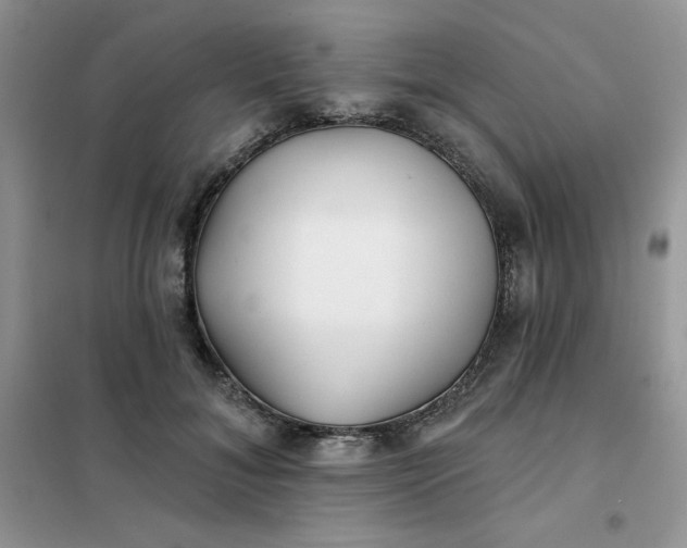 X0000102020700200808011424
