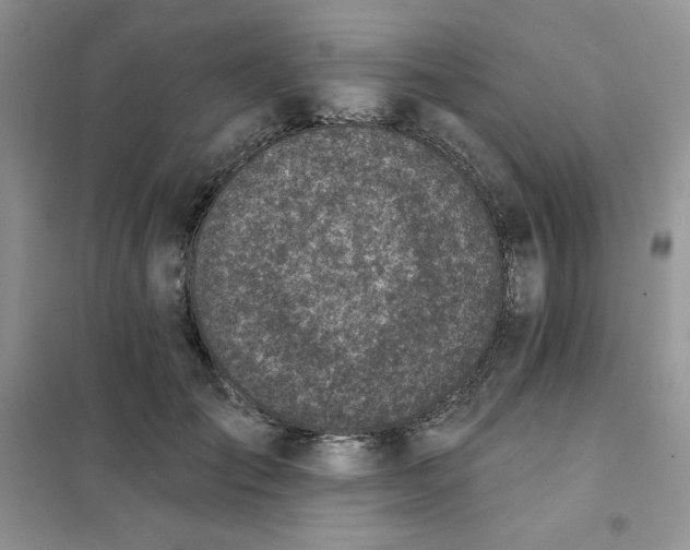 X0000102020701200808011424