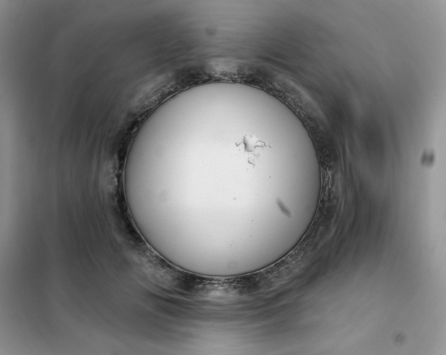 X0000102020702200808011424
