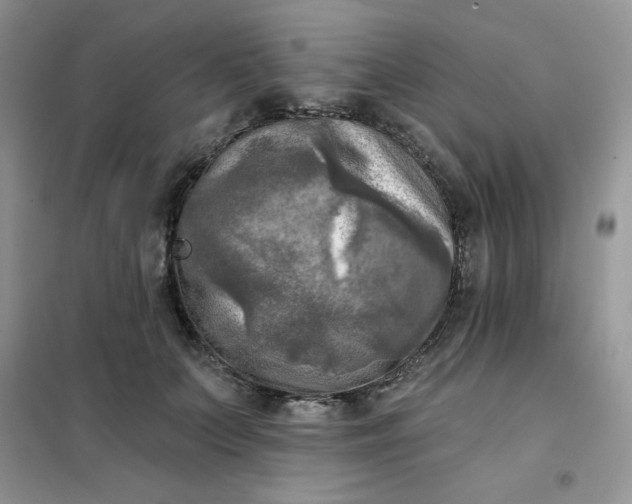 X0000102020703200808011424