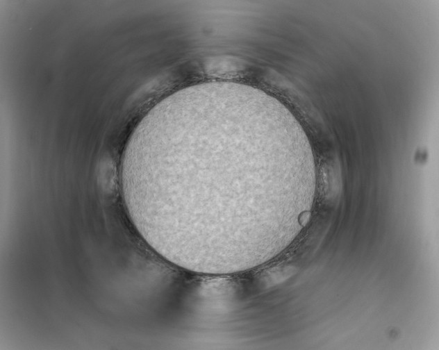 X0000102020705200808011424