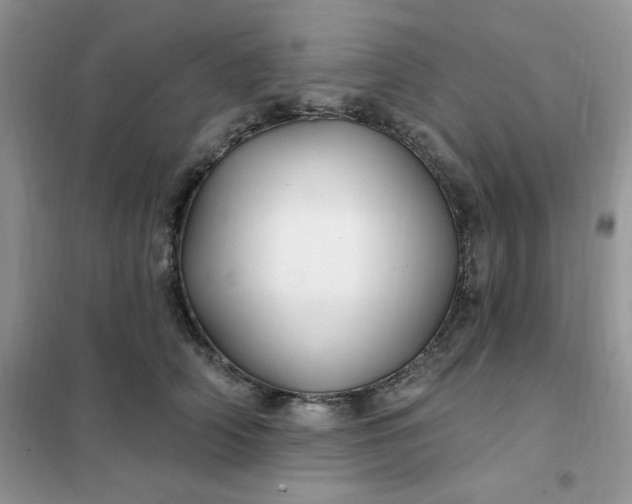 X0000102020706200808011424