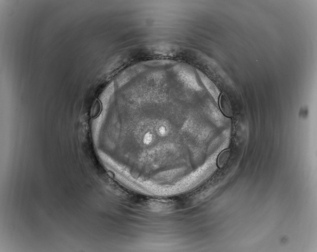 X0000102020707200808011424