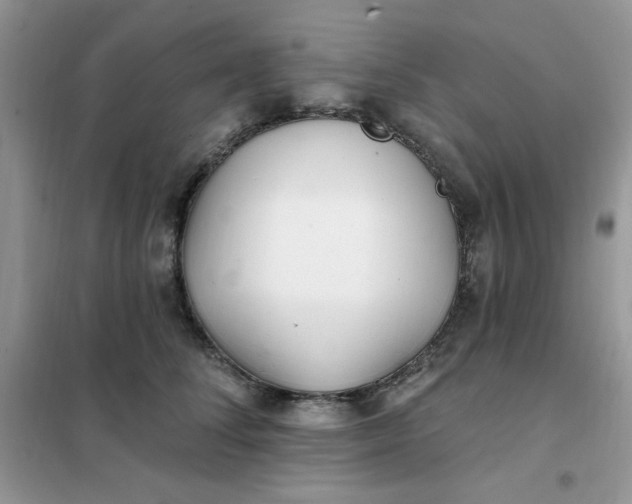 X0000102020708200808011424