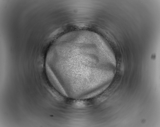 X0000102020710200808011424