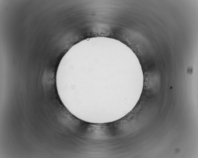 X0000102020713200808011424