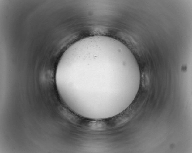 X0000102020714200808011424