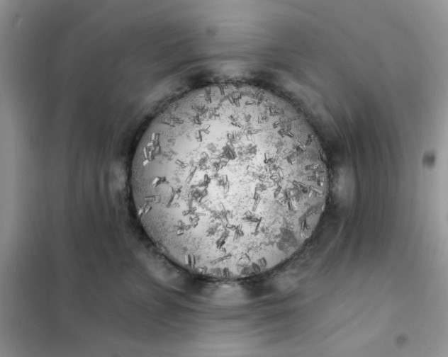 X0000102020715200808011424