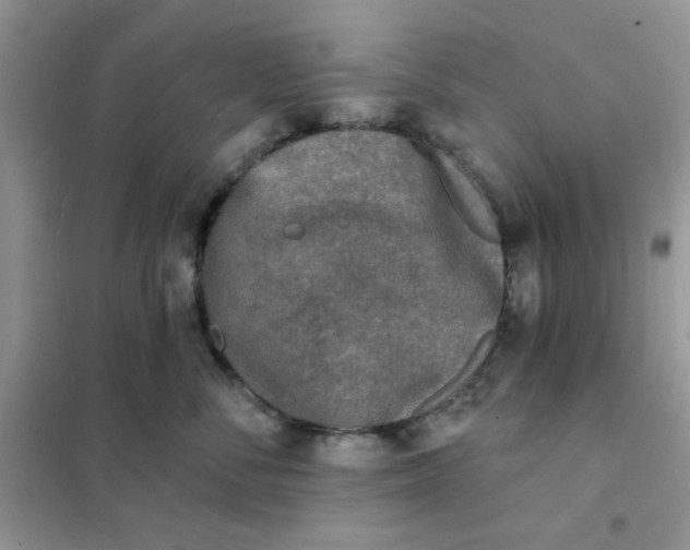 X0000102020716200808011424
