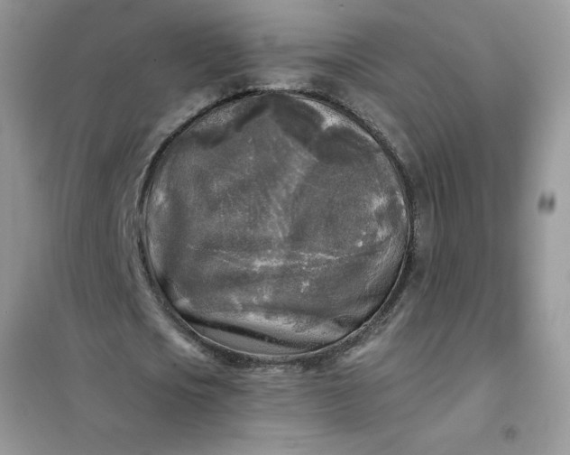 X0000102020721200808011423