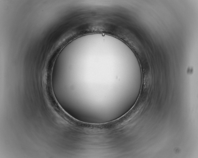 X0000102020722200808011423