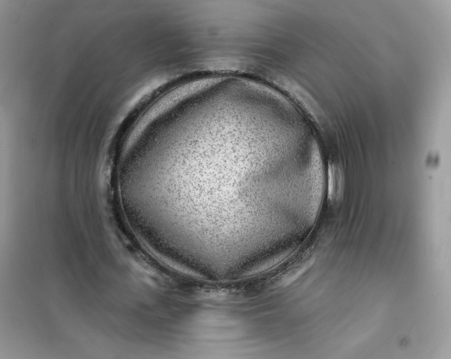 X0000102020723200808011423