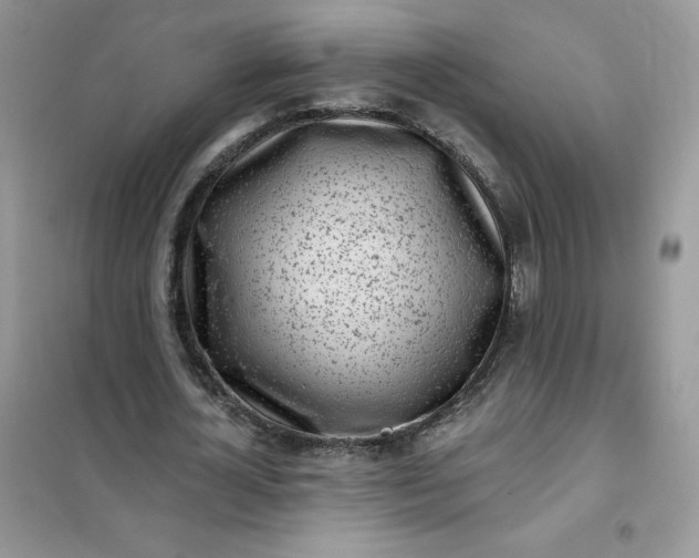 X0000102020724200808011423
