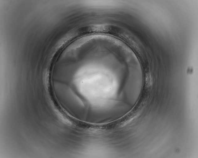 X0000102020725200808011423