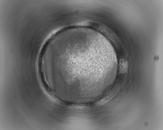 X0000102020726200808011423