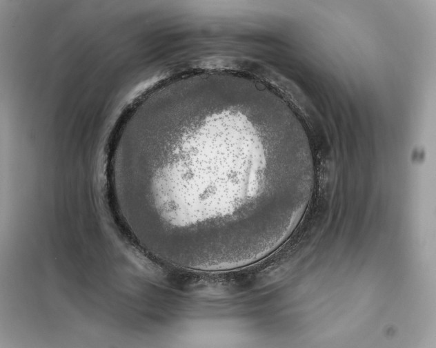 X0000102020727200808011423