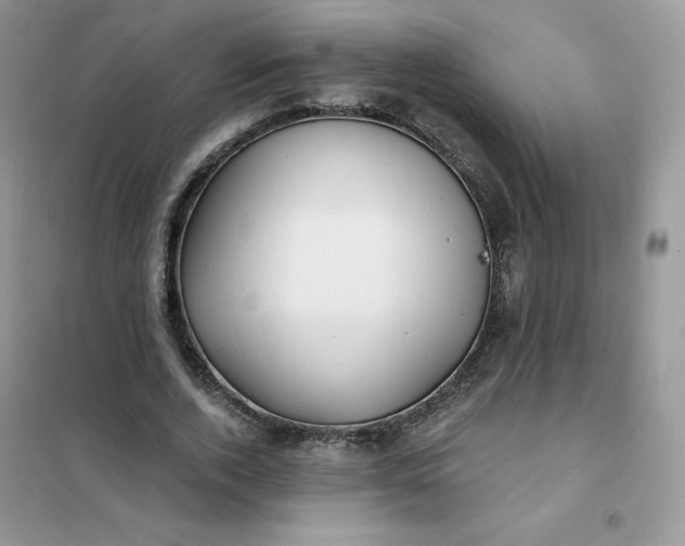 X0000102020728200808011423