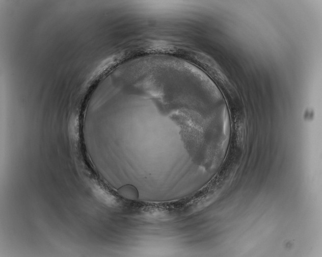 X0000102020729200808011423