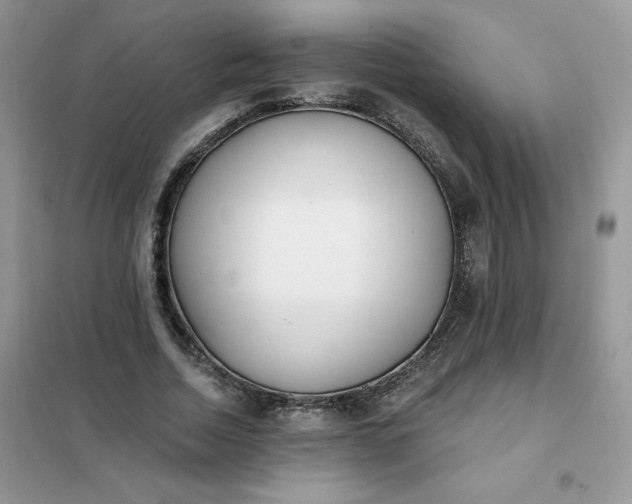 X0000102020730200808011423