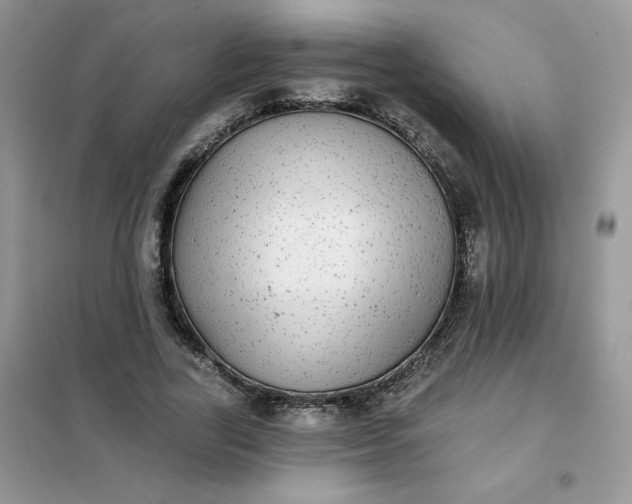 X0000102020731200808011423