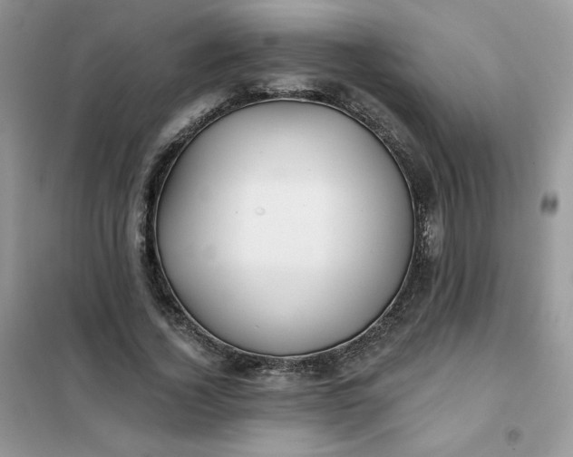 X0000102020732200808011423